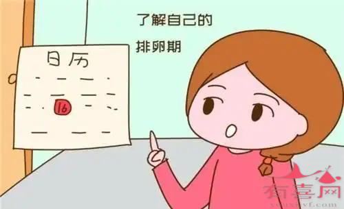 深圳单身女性冷冻卵子的费用